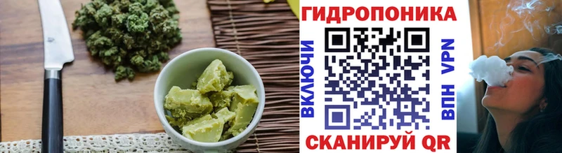 Купить где  Нефтекумск  Canna-Cookies конопля 