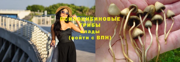синтетический гашиш Гусев