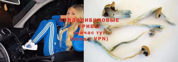 синтетический гашиш Гусев