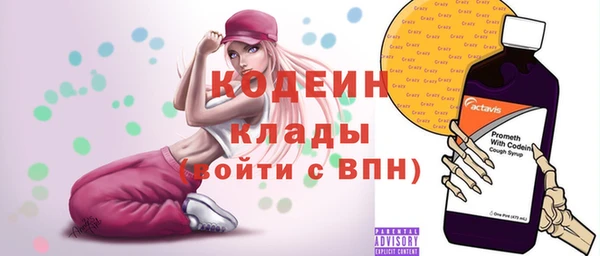 дурь Гусиноозёрск
