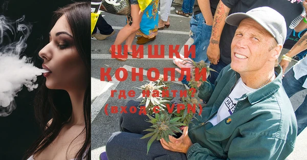 дурь Гусиноозёрск