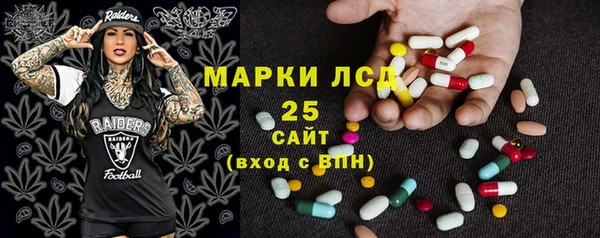 дурь Гусиноозёрск