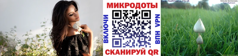 Купить  Нефтекумск  Галлюциногенные грибы Cubensis 